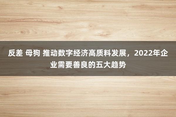 反差 母狗 推动数字经济高质料发展，2022年企业需要善良的五大趋势