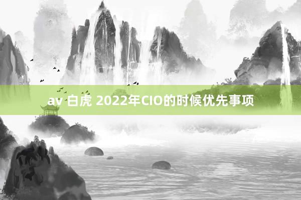 av 白虎 2022年CIO的时候优先事项