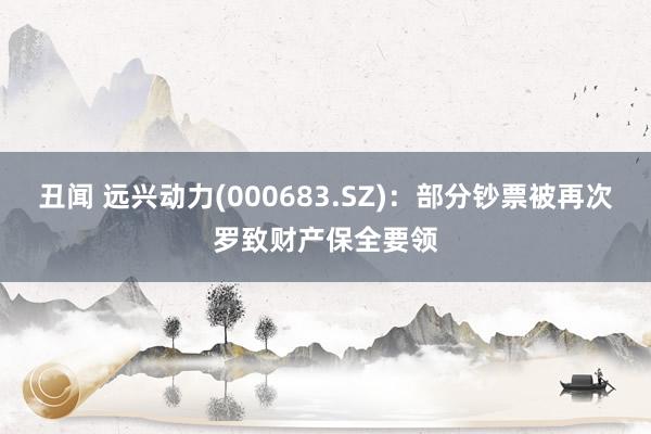 丑闻 远兴动力(000683.SZ)：部分钞票被再次罗致财产保全要领