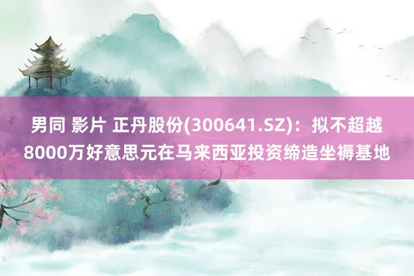 男同 影片 正丹股份(300641.SZ)：拟不超越8000万好意思元在马来西亚投资缔造坐褥基地