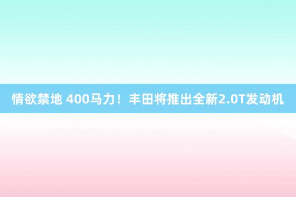 情欲禁地 400马力！丰田将推出全新2.0T发动机