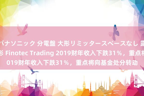 パナソニック 分電盤 大形リミッタースペースなし 露出・半埋込両用形 Finotec Trading 2019财年收入下跌31％，重点将向基金处分转动