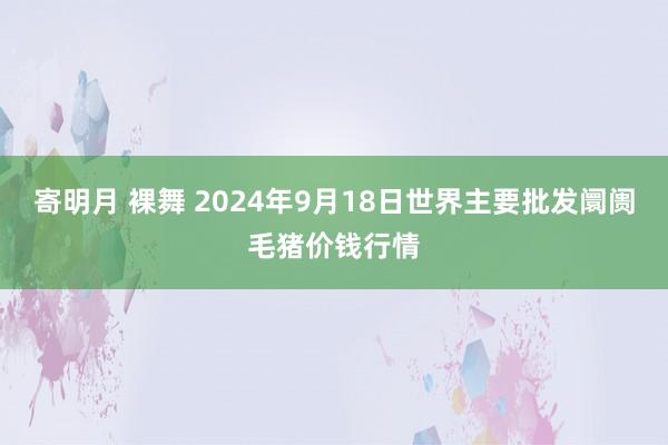 寄明月 裸舞 2024年9月18日世界主要批发阛阓毛猪价钱行情