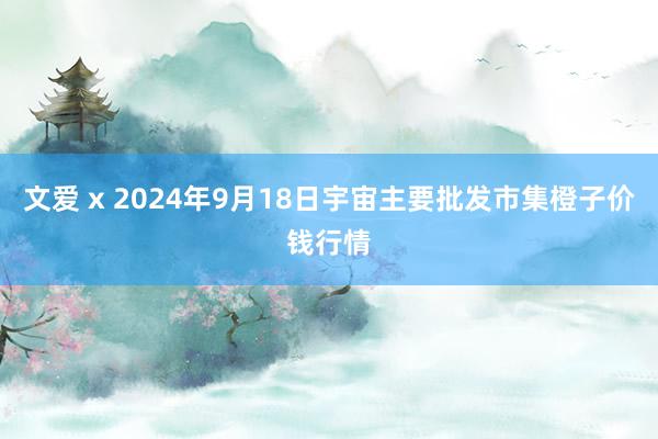 文爱 x 2024年9月18日宇宙主要批发市集橙子价钱行情