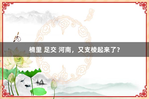 楠里 足交 河南，又支棱起来了？