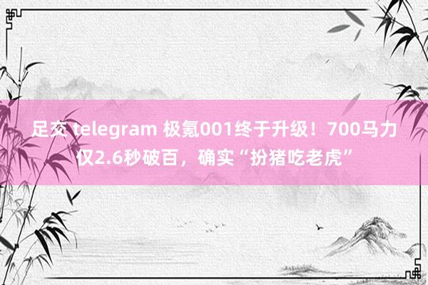 足交 telegram 极氪001终于升级！700马力仅2.6秒破百，确实“扮猪吃老虎”