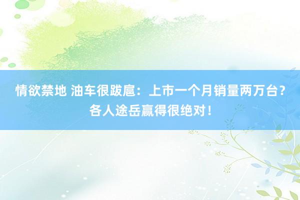 情欲禁地 油车很跋扈：上市一个月销量两万台？各人途岳赢得很绝对！