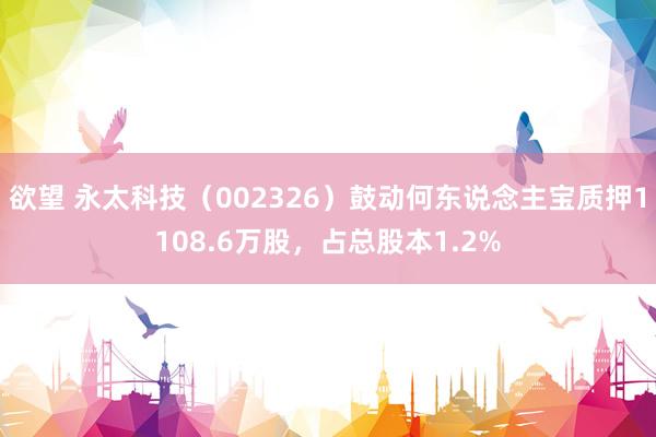 欲望 永太科技（002326）鼓动何东说念主宝质押1108.6万股，占总股本1.2%