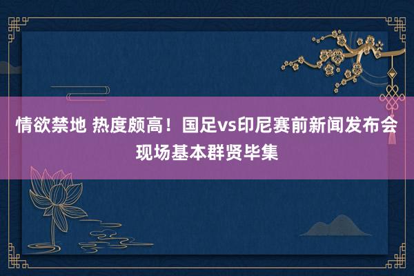 情欲禁地 热度颇高！国足vs印尼赛前新闻发布会现场基本群贤毕集