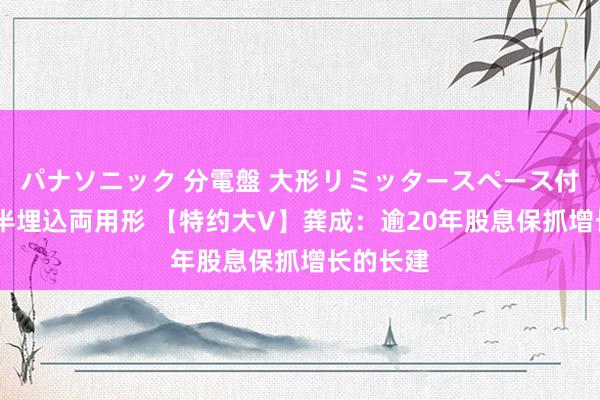 パナソニック 分電盤 大形リミッタースペース付 露出・半埋込両用形 【特约大V】龚成：逾20年股息保抓增长的长建