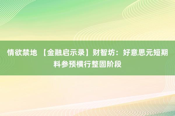 情欲禁地 【金融启示录】财智坊：好意思元短期料参预横行整固阶段