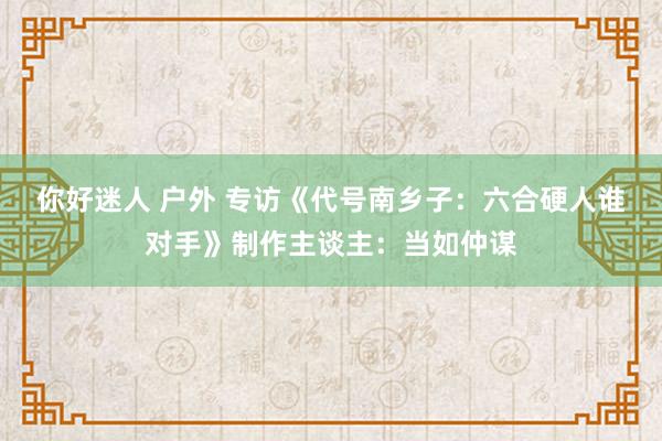 你好迷人 户外 专访《代号南乡子：六合硬人谁对手》制作主谈主：当如仲谋