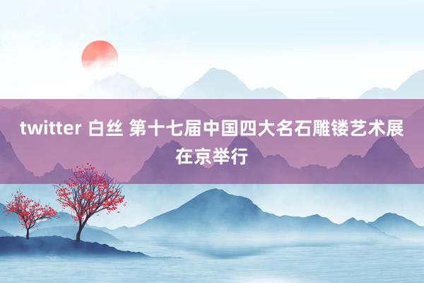 twitter 白丝 第十七届中国四大名石雕镂艺术展在京举行