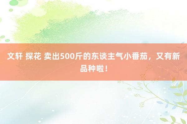 文轩 探花 卖出500斤的东谈主气小番茄，又有新品种啦！