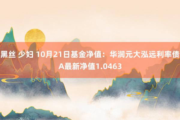 黑丝 少妇 10月21日基金净值：华润元大泓远利率债A最新净值1.0463