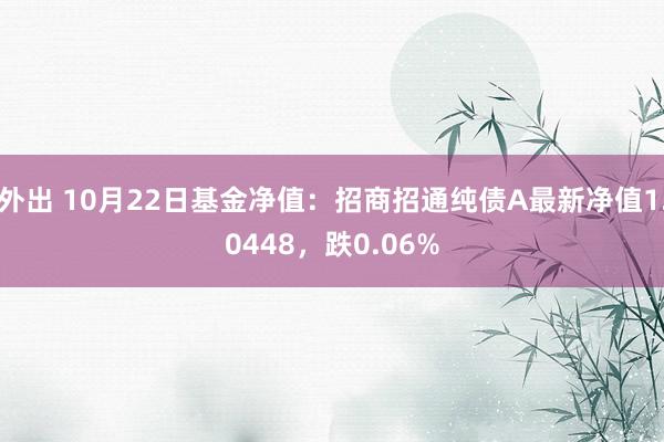 外出 10月22日基金净值：招商招通纯债A最新净值1.0448，跌0.06%