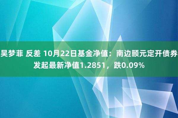 吴梦菲 反差 10月22日基金净值：南边颐元定开债券发起最新净值1.2851，跌0.09%