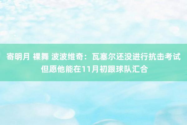 寄明月 裸舞 波波维奇：瓦塞尔还没进行抗击考试 但愿他能在11月初跟球队汇合