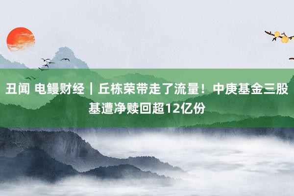 丑闻 电鳗财经｜丘栋荣带走了流量！中庚基金三股基遭净赎回超12亿份