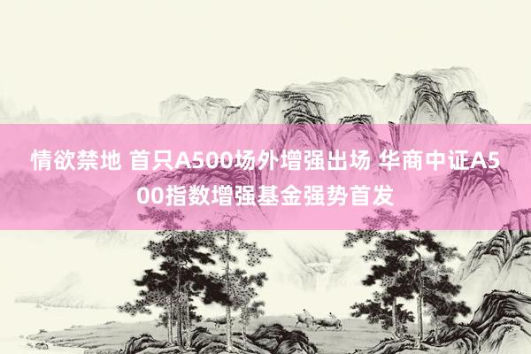 情欲禁地 首只A500场外增强出场 华商中证A500指数增强基金强势首发