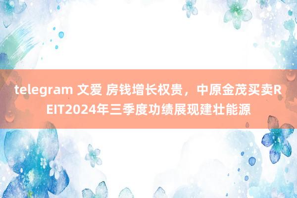 telegram 文爱 房钱增长权贵，中原金茂买卖REIT2024年三季度功绩展现建壮能源