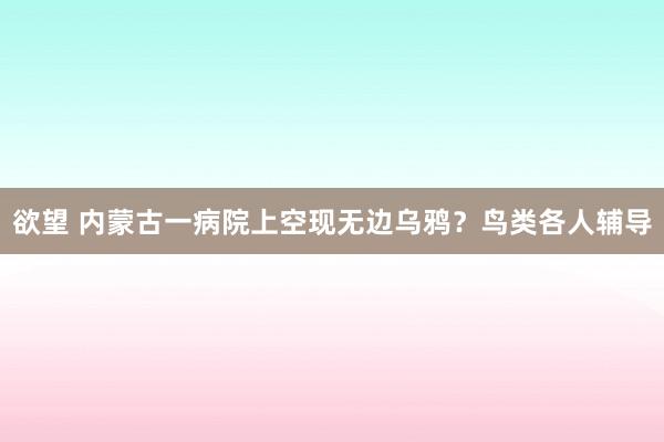 欲望 内蒙古一病院上空现无边乌鸦？鸟类各人辅导