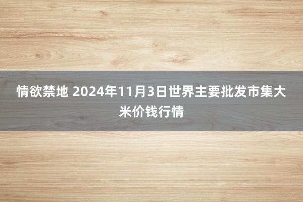 情欲禁地 2024年11月3日世界主要批发市集大米价钱行情