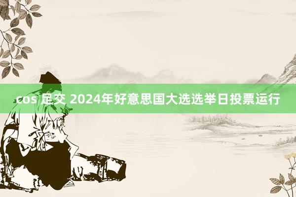 cos 足交 2024年好意思国大选选举日投票运行