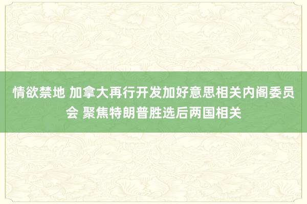 情欲禁地 加拿大再行开发加好意思相关内阁委员会 聚焦特朗普胜选后两国相关