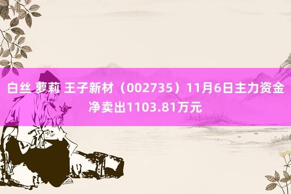 白丝 萝莉 王子新材（002735）11月6日主力资金净卖出1103.81万元