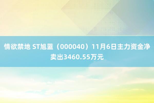 情欲禁地 ST旭蓝（000040）11月6日主力资金净卖出3460.55万元