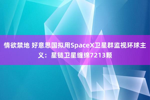 情欲禁地 好意思国拟用SpaceX卫星群监视环球主义：星链卫星缠绵7213颗