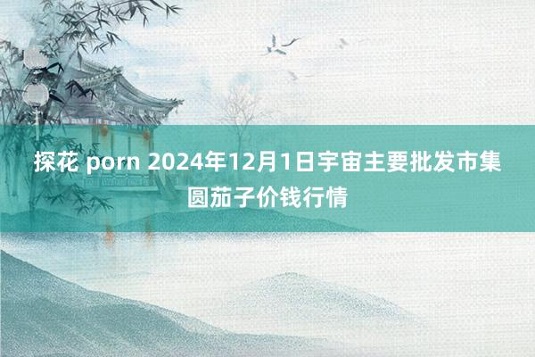 探花 porn 2024年12月1日宇宙主要批发市集圆茄子价钱行情