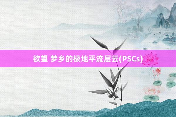 欲望 梦乡的极地平流层云(PSCs)