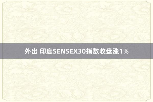 外出 印度SENSEX30指数收盘涨1%