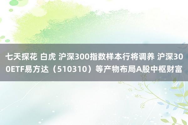 七天探花 白虎 沪深300指数样本行将调养 沪深300ETF易方达（510310）等产物布局A股中枢财富