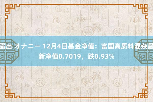 露出 オナニー 12月4日基金净值：富国高质料混杂最新净值0.7019，跌0.93%