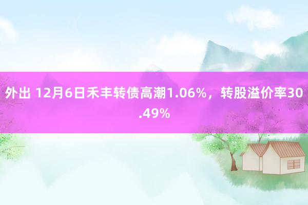 外出 12月6日禾丰转债高潮1.06%，转股溢价率30.49%