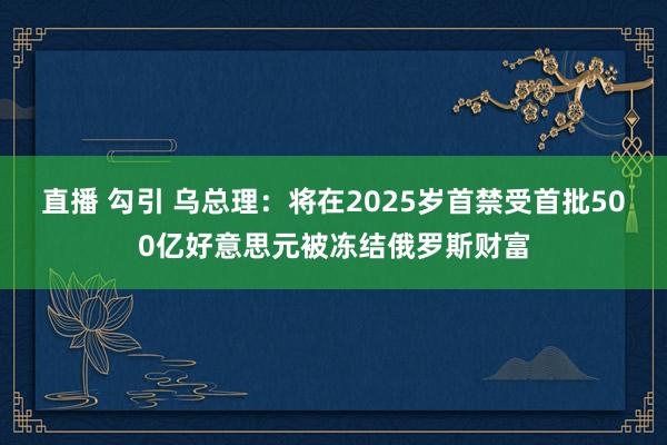 直播 勾引 乌总理：将在2025岁首禁受首批500亿好意思元被冻结俄罗斯财富