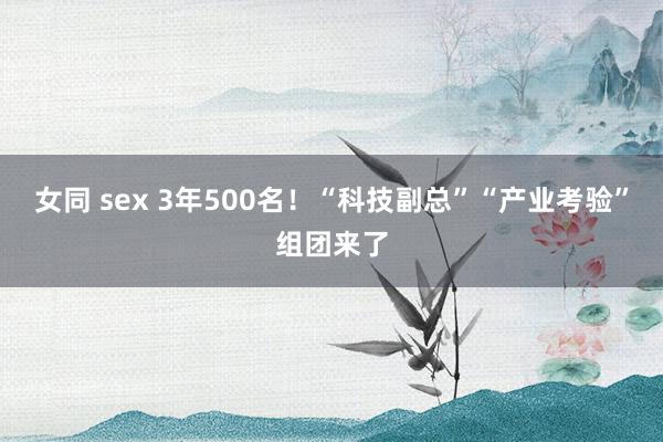 女同 sex 3年500名！“科技副总”“产业考验”组团来了