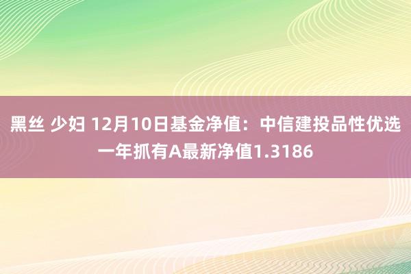 黑丝 少妇 12月10日基金净值：中信建投品性优选一年抓有A最新净值1.3186