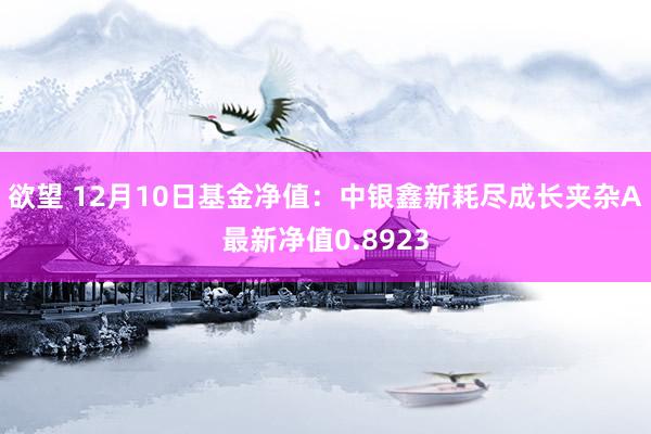 欲望 12月10日基金净值：中银鑫新耗尽成长夹杂A最新净值0.8923