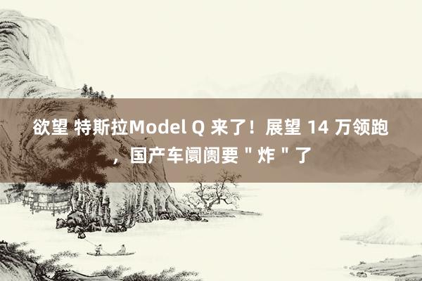 欲望 特斯拉Model Q 来了！展望 14 万领跑，国产车阛阓要＂炸＂了