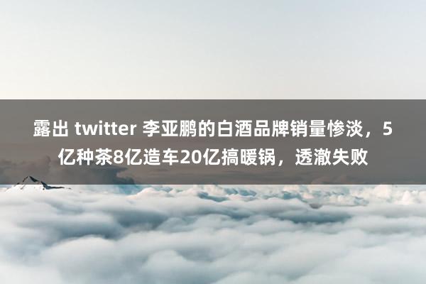 露出 twitter 李亚鹏的白酒品牌销量惨淡，5亿种茶8亿造车20亿搞暖锅，透澈失败