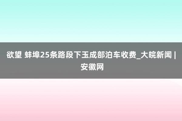 欲望 蚌埠25条路段下玉成部泊车收费_大皖新闻 | 安徽网