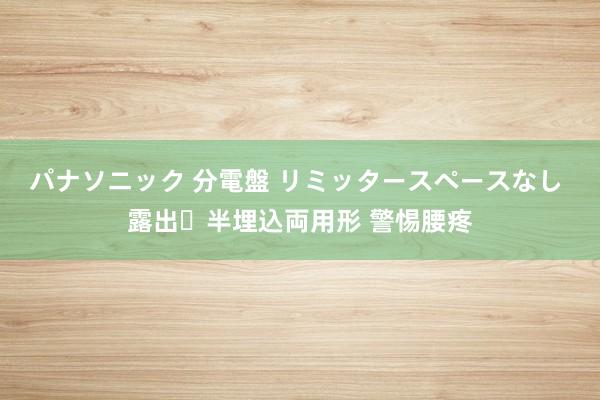 パナソニック 分電盤 リミッタースペースなし 露出・半埋込両用形 警惕腰疼