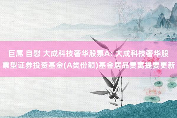 巨屌 自慰 大成科技奢华股票A: 大成科技奢华股票型证券投资基金(A类份额)基金居品贵寓提要更新