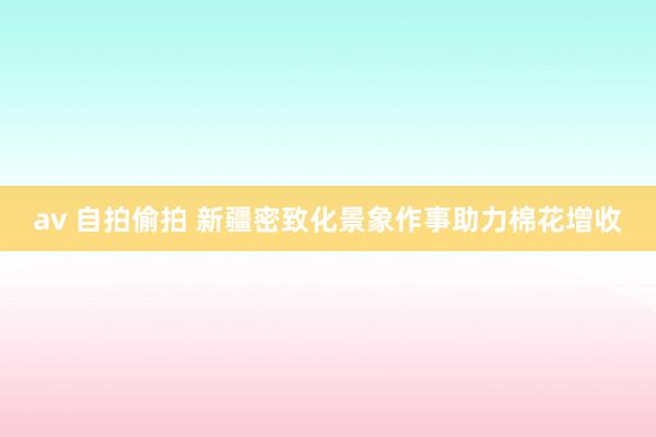 av 自拍偷拍 新疆密致化景象作事助力棉花增收