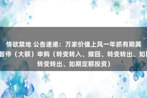 情欲禁地 公告速递：万家价值上风一年抓有期羼杂基金基金暂停（大额）申购（转变转入、赎回、转变转出、如期定额投资）