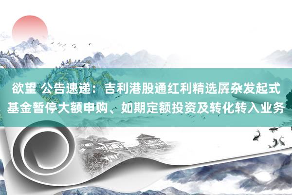 欲望 公告速递：吉利港股通红利精选羼杂发起式基金暂停大额申购、如期定额投资及转化转入业务